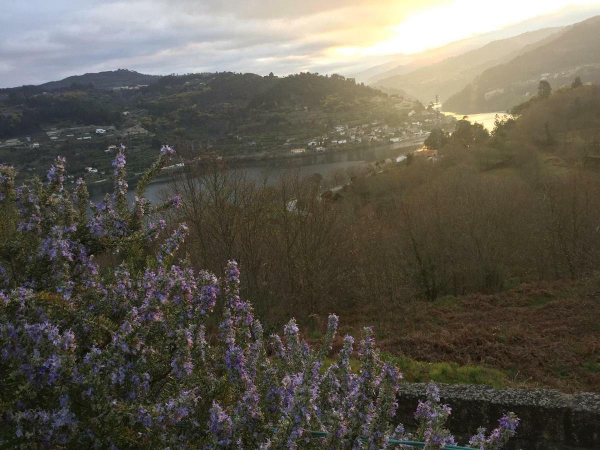 ホテル Quinta Da Ventuzela シンファンイス エクステリア 写真